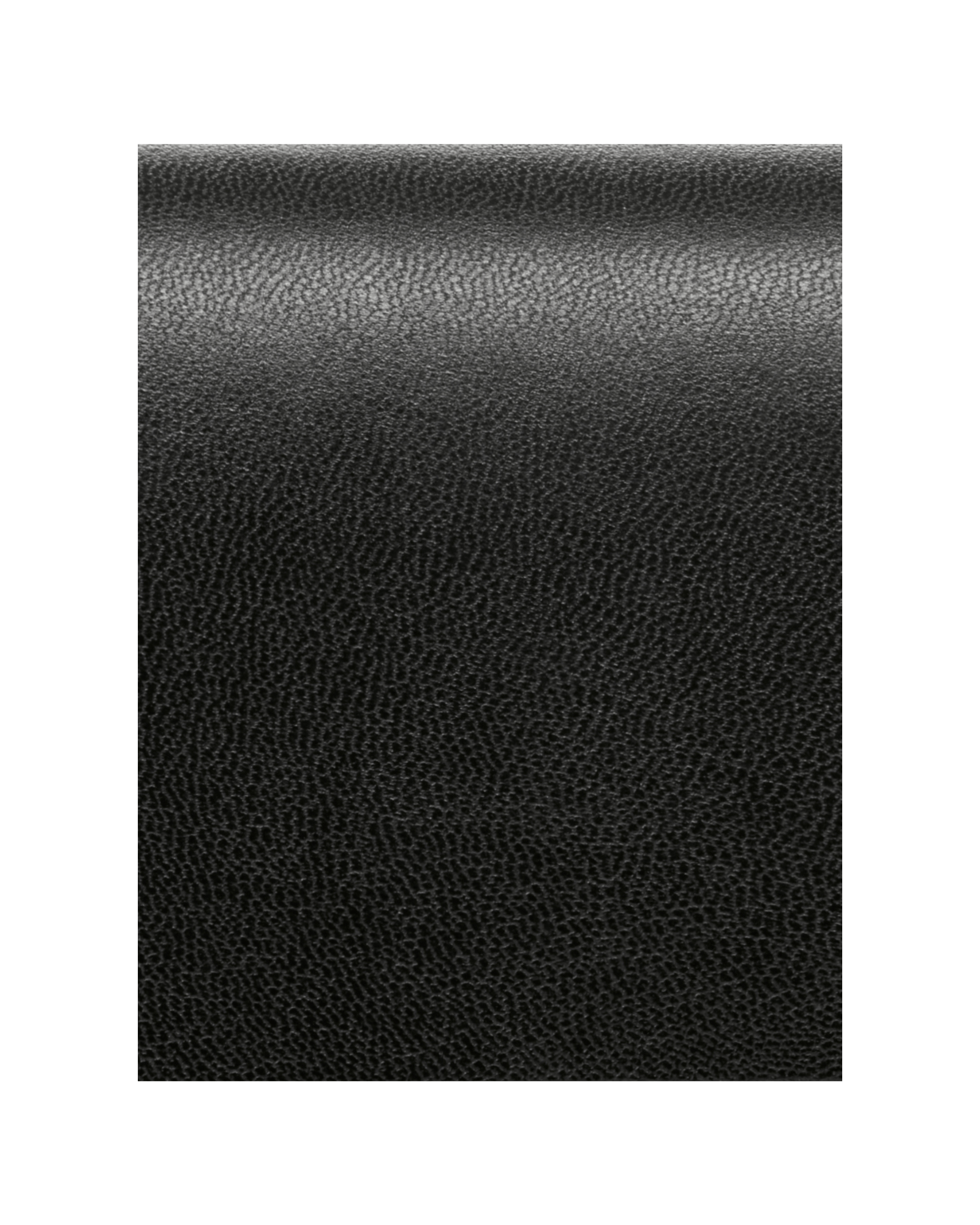 Black Leather image