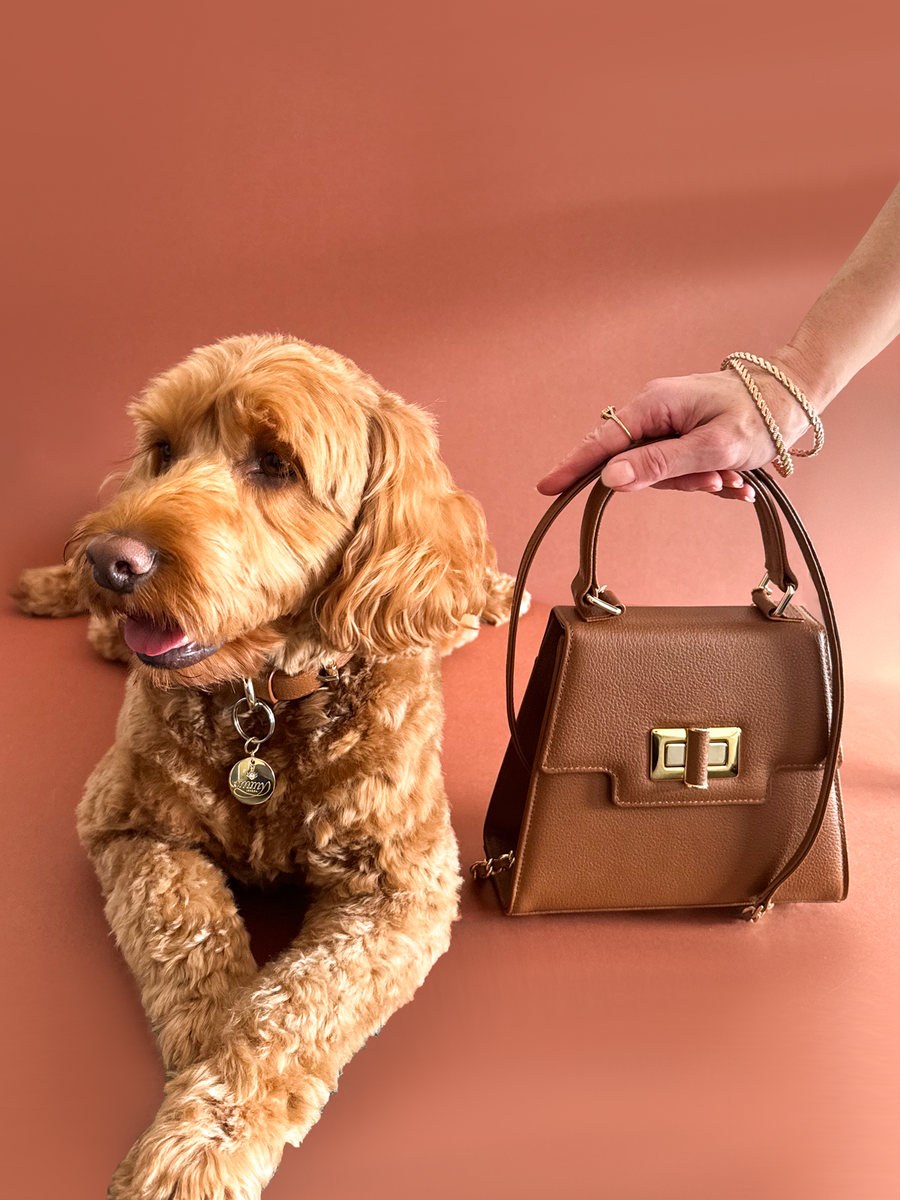 A person is holding a small brown handbag with a gold clasp while a golden doodle dog lies beside them. The background is a warm, solid color that complements the handbag. The angle of the image captures both the bag and the dog clearly, showcasing the bag's structure and the dog's fluffy fur. image