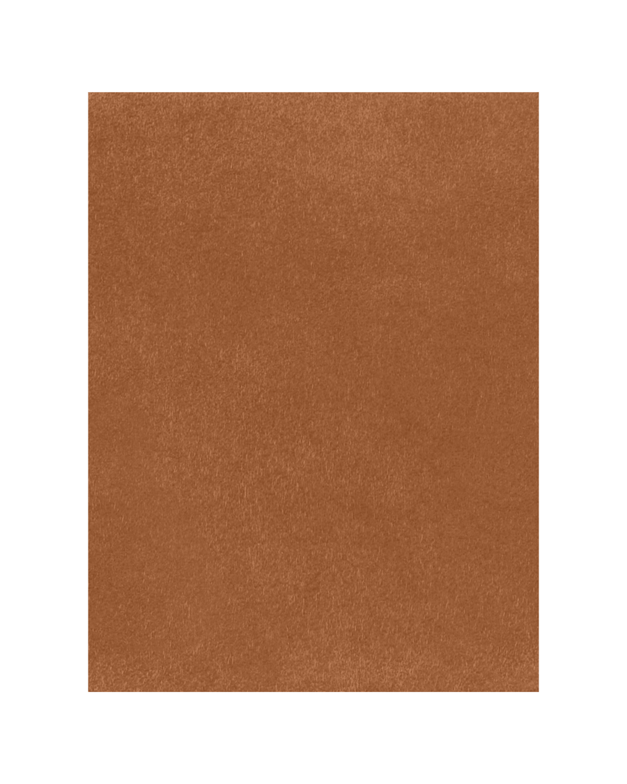 Close-up view of a smooth, warm, earthy brown material resembling suede or a similar fabric, filling the entire frame with no visible background or additional elements. image