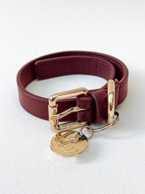 Dog Collar