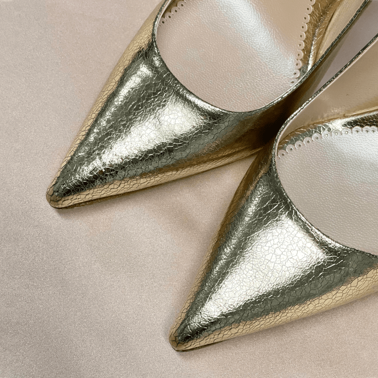 Rebecca Metallic Gold Fashion Shoe Gold Leather Court Shoe
